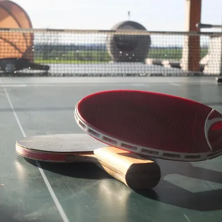 Stunning French Puylagarde