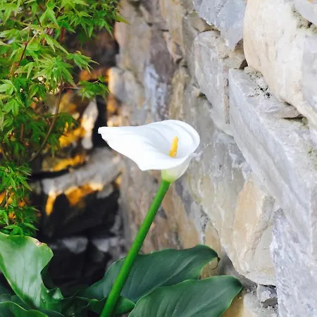 Villa Stunning French Puylagarde